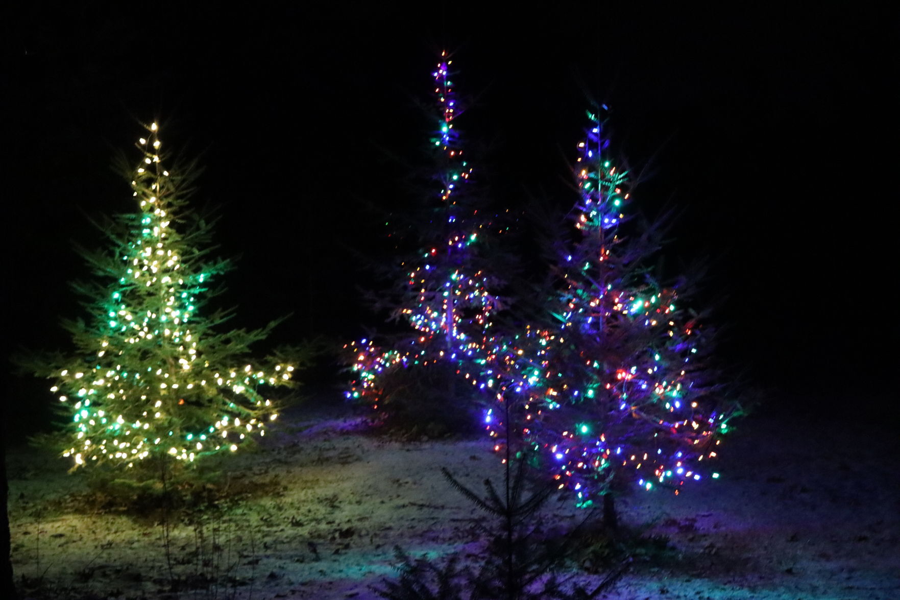 Chippewa Falls Christmas light displays
